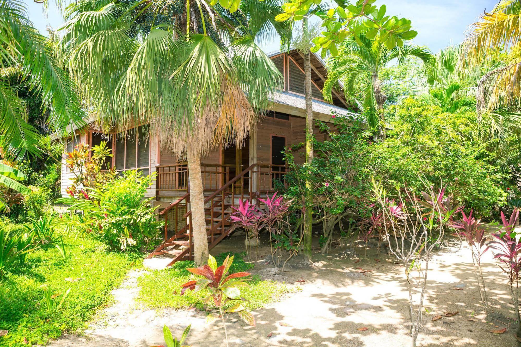 Casa Flores Palmetto Bay Buitenkant foto