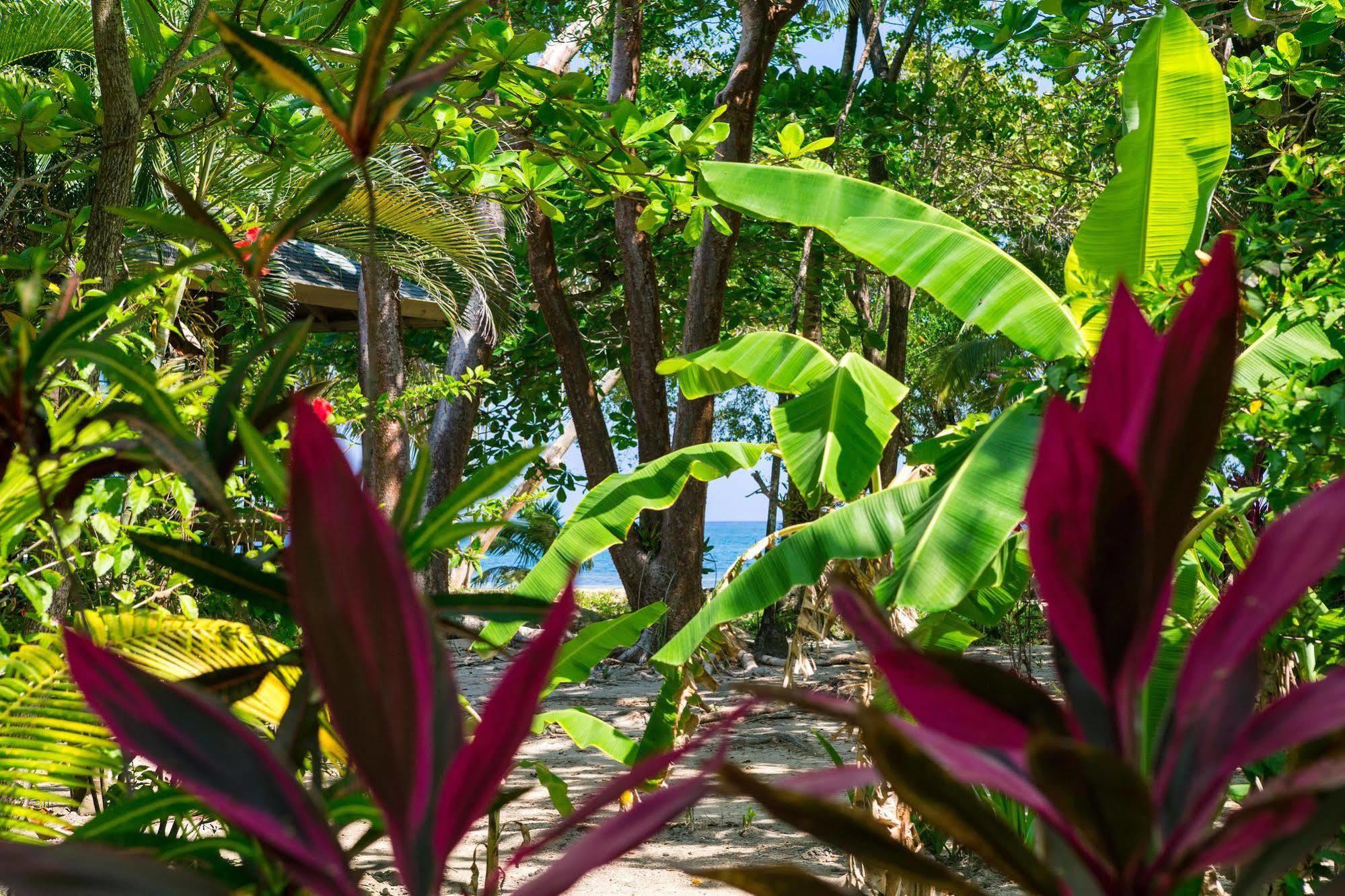 Casa Flores Palmetto Bay Buitenkant foto
