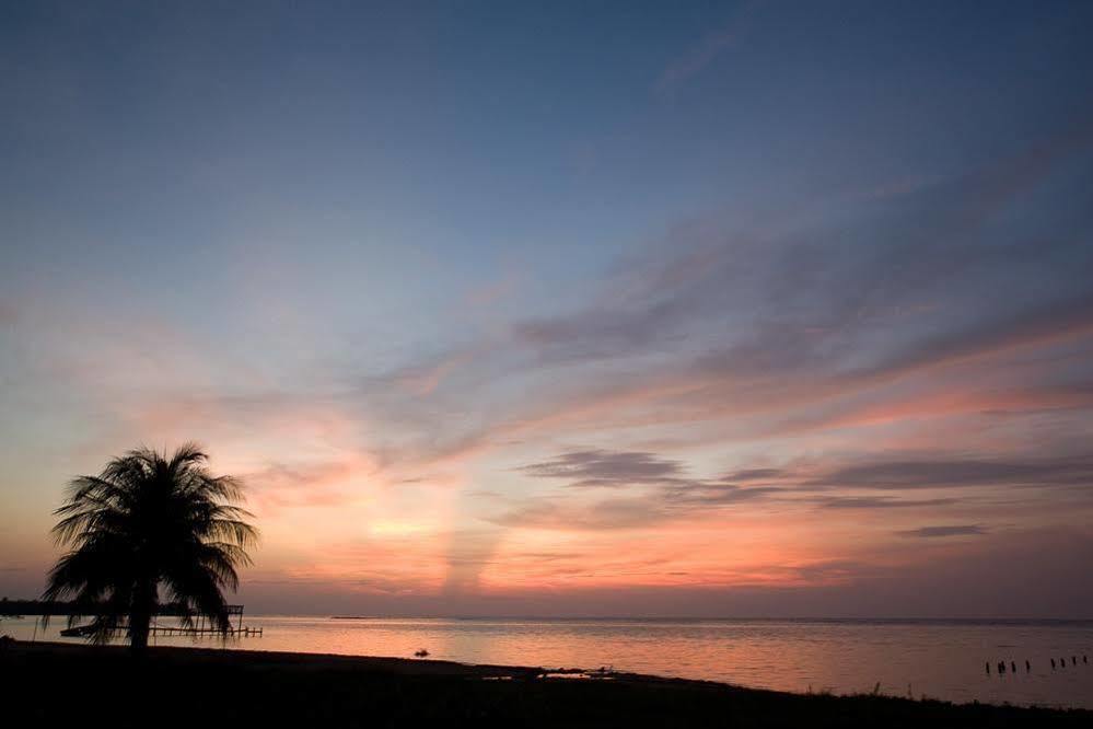 Casa Flores Palmetto Bay Buitenkant foto