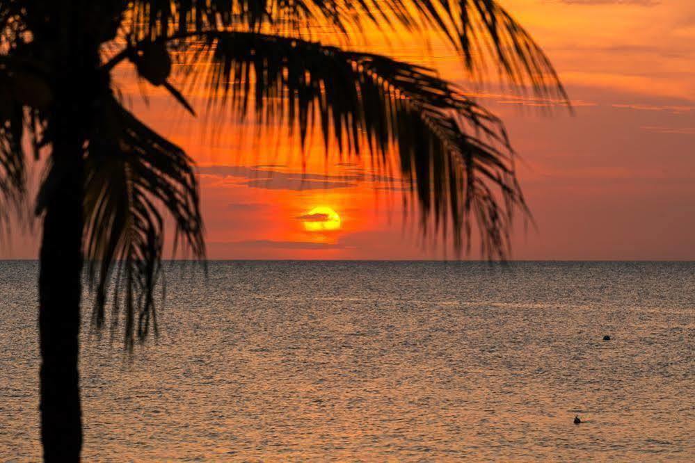Casa Flores Palmetto Bay Buitenkant foto