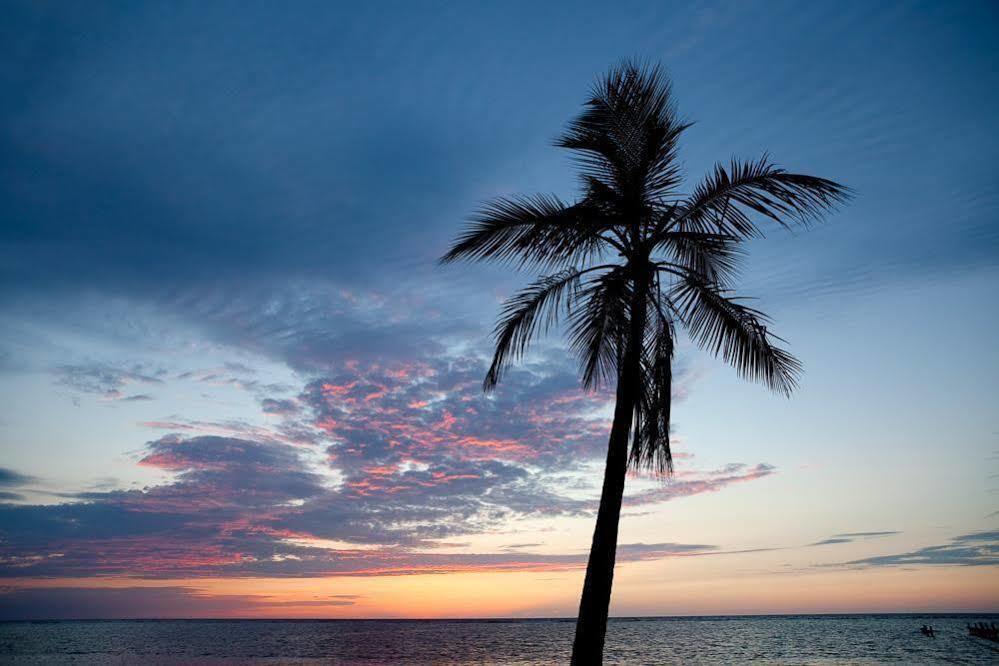 Casa Flores Palmetto Bay Buitenkant foto